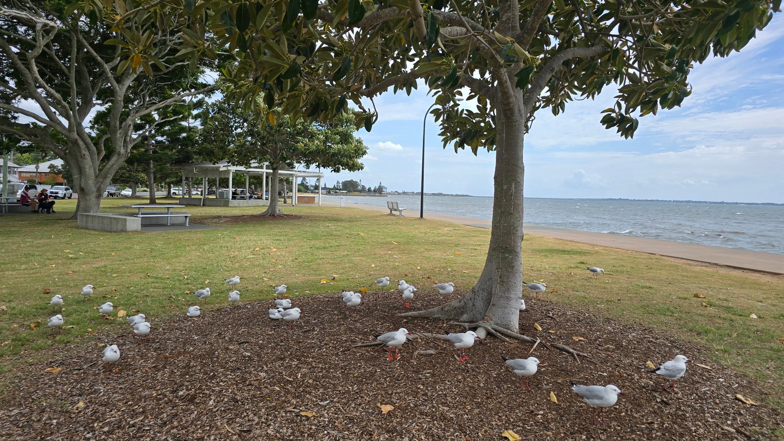 Sandgate Parks